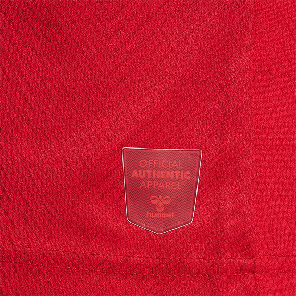 Hummel Denmark Men's Home Jersey WC22