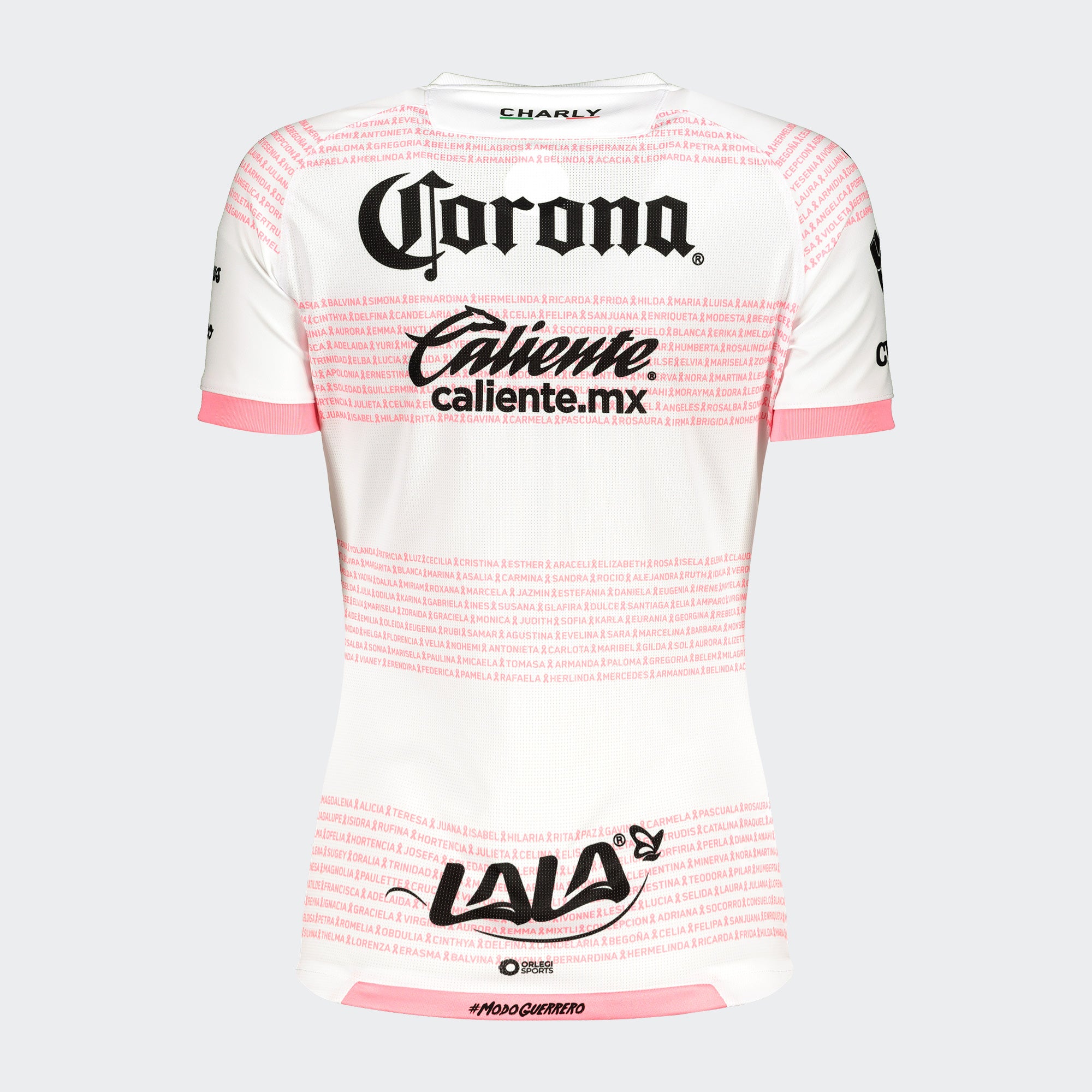 SANTOS LAGUNA PLAYERA BREAST CANCER 20/21 FEMENIL | SANTOS LAGUNA BREAST CANCER JERSEY 20/21 WOMEN'S - 5018633-CHARLY by Charly | Available at Niky's Sports