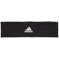Alphaskin 2.0 Headband