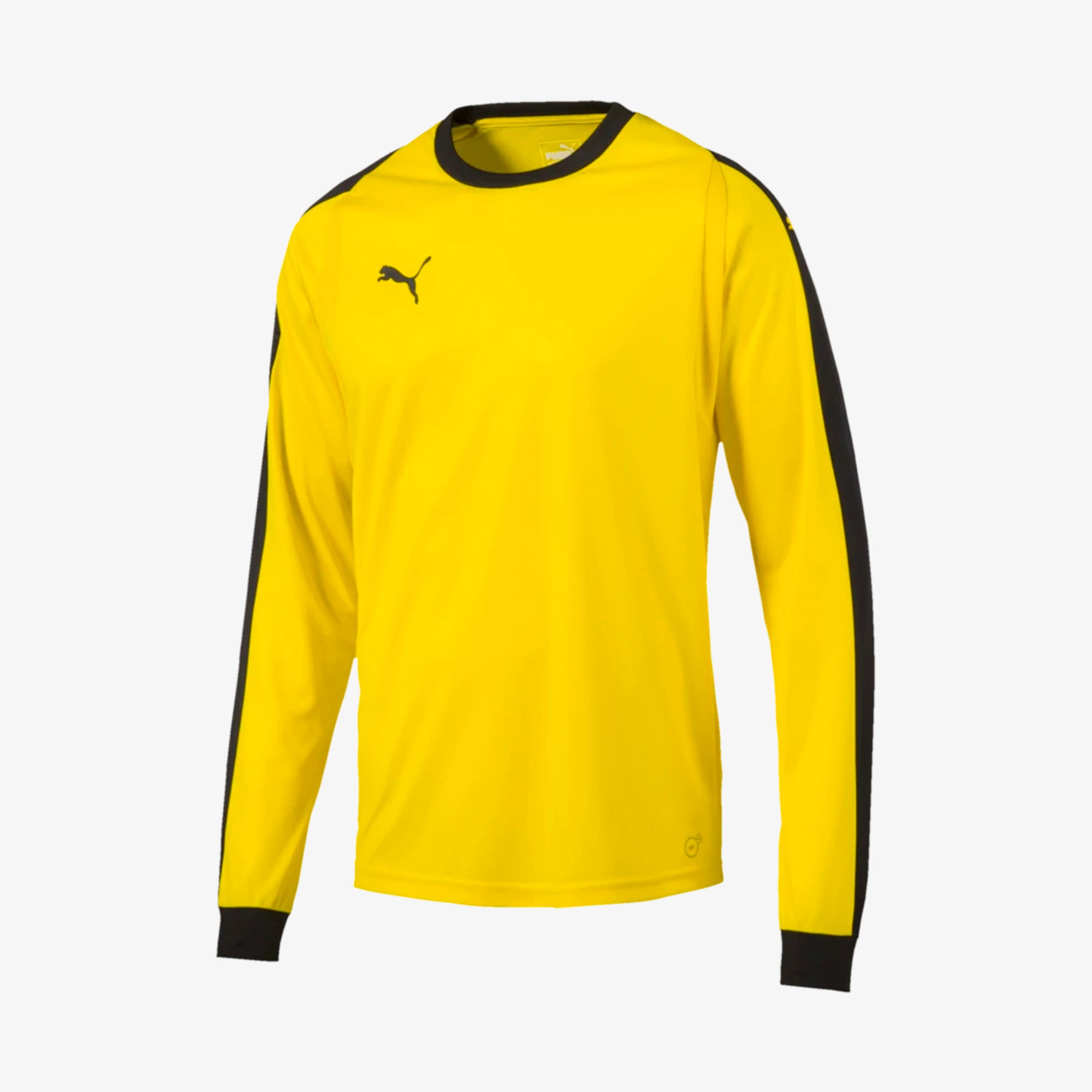 Liga Goalkeeper Jersey - 703442-07-PUMA by Puma | Available at Niky's Sports