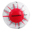Forte Soccer Ball