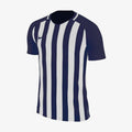 Men's Striped Division III Jersey - Navy/White