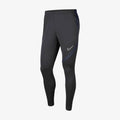 Academy Pro Training Pants – Anthracite/Obsidian
