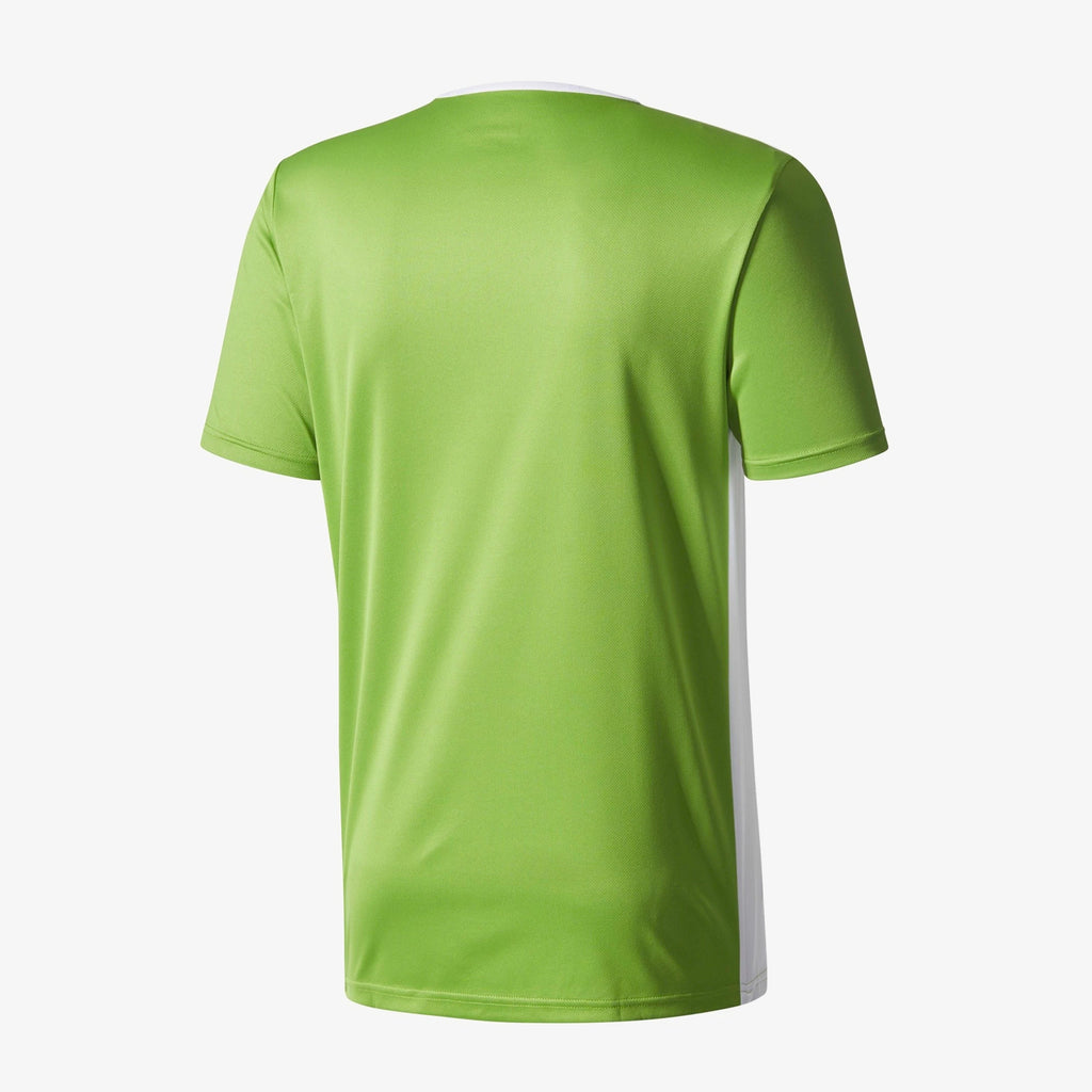 Entrada 18 Jersey Green Men's - CD8398-ADIDAS by Adidas | Available at Niky's Sports