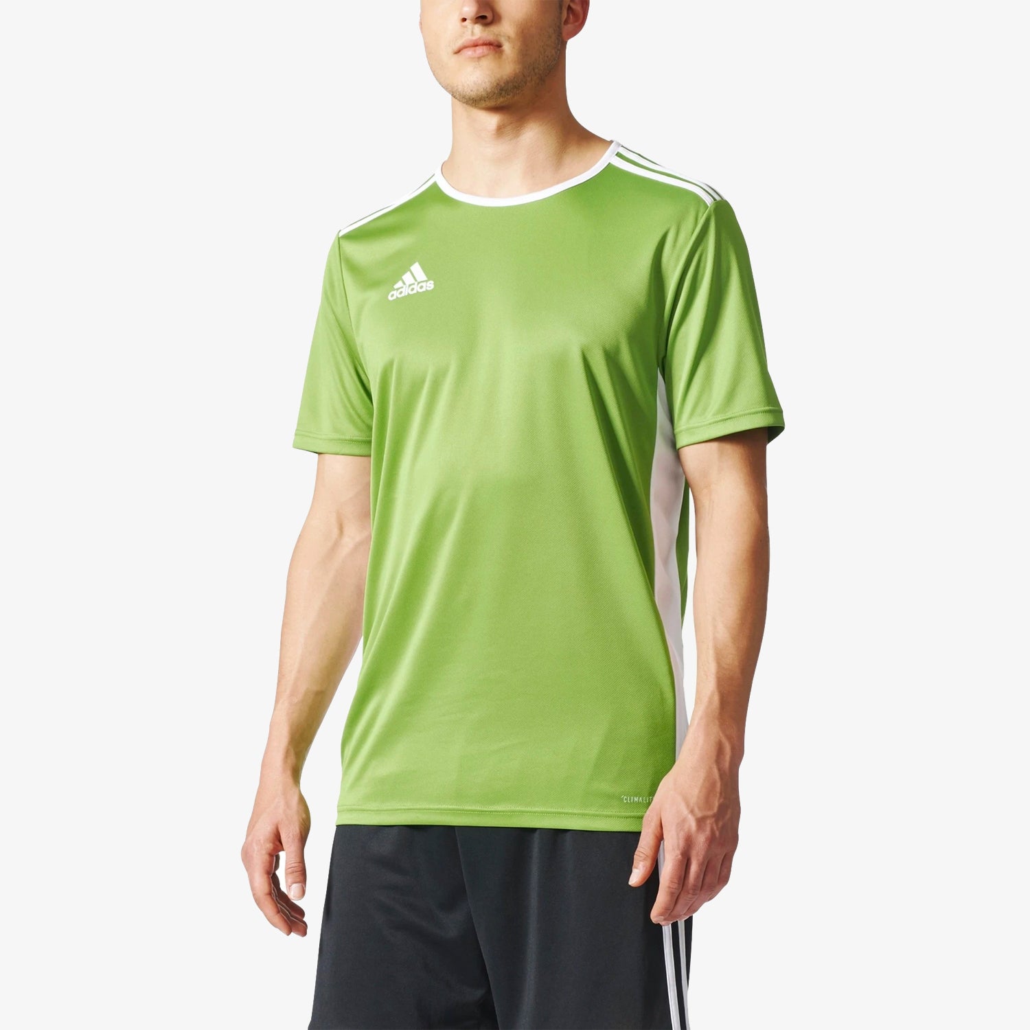 Entrada 18 Jersey Green Men's - CD8398-ADIDAS by Adidas | Available at Niky's Sports