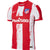 Atlético Madrid 2021/22 Match Home Men's Nike Dri-FIT ADV Soccer Jersey