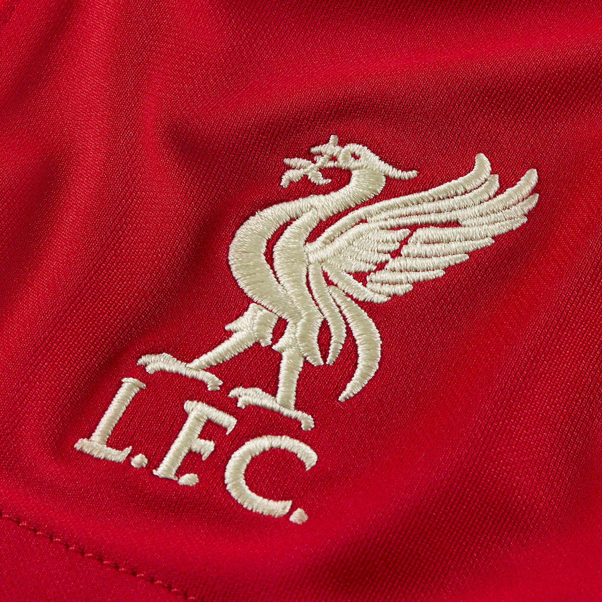 Liverpool FC 2020/21 Men's Soccer Shorts - DB2557-687-NIKE by Nike | Available at Niky's Sports