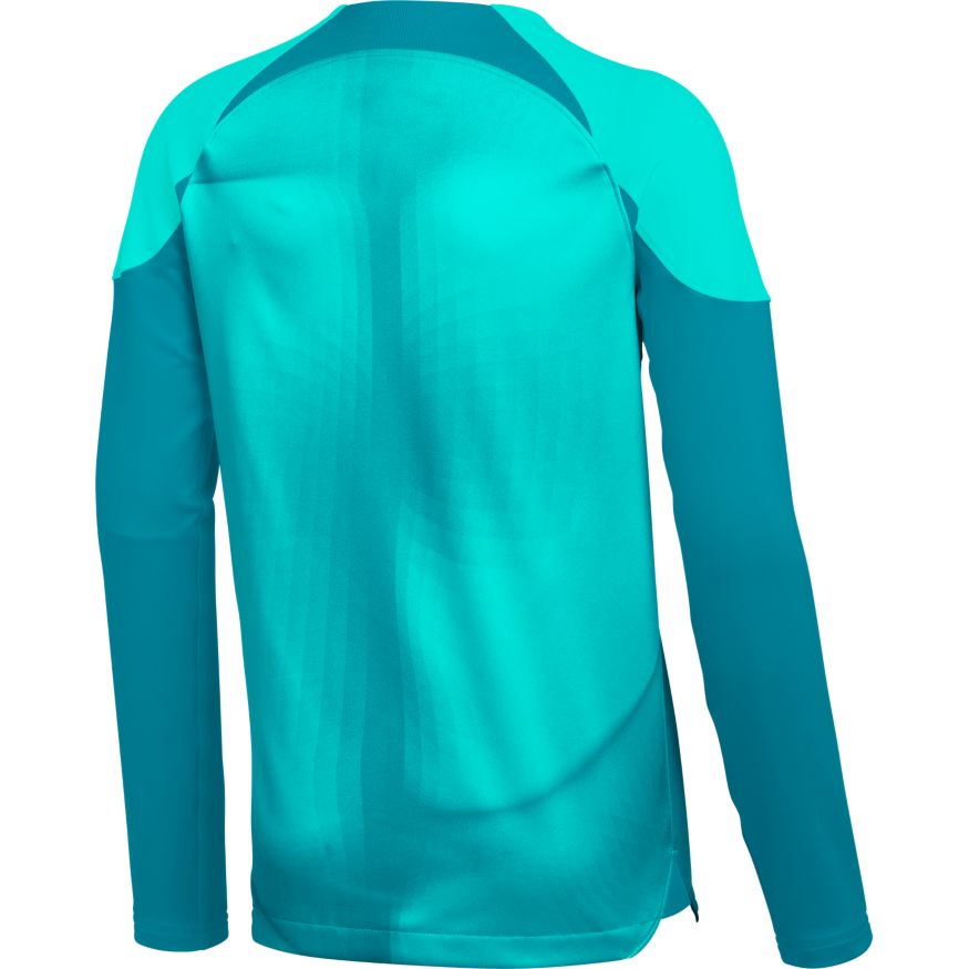 Nike Dri-FIT ADV Gardien 4 Goalkeeper Big Kids' Long-Sleeve Soccer Jersey - DH8349-354-NIKE by Nike | Available at Niky's Sports