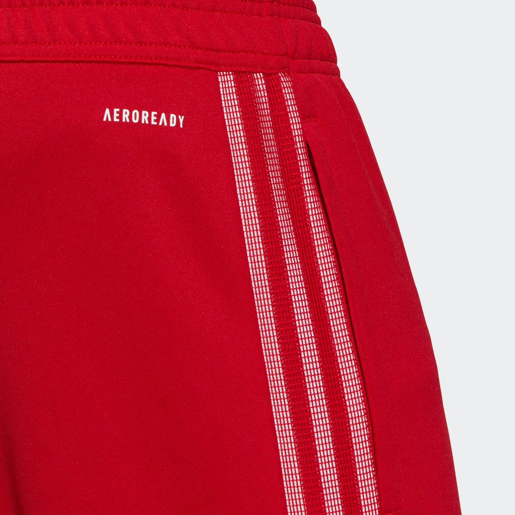 adidas mens Tiro Cargo Pant red - HC7705-ADIDAS by adidas | Available at Niky's Sports