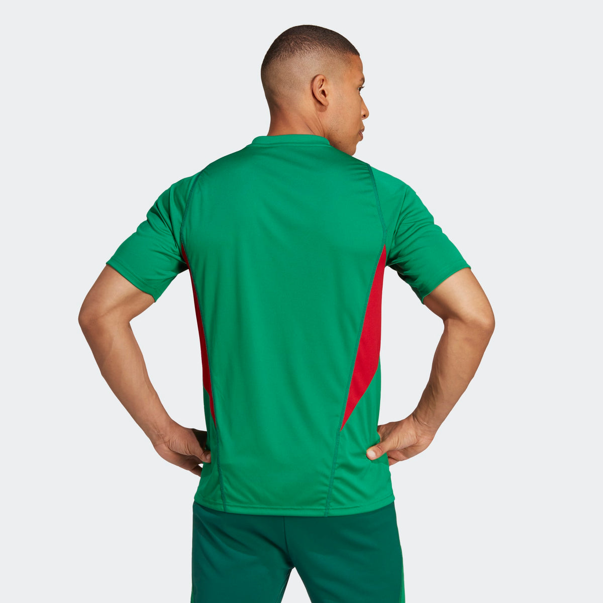 Adidas Men's Mexico Tiro Training Jersey