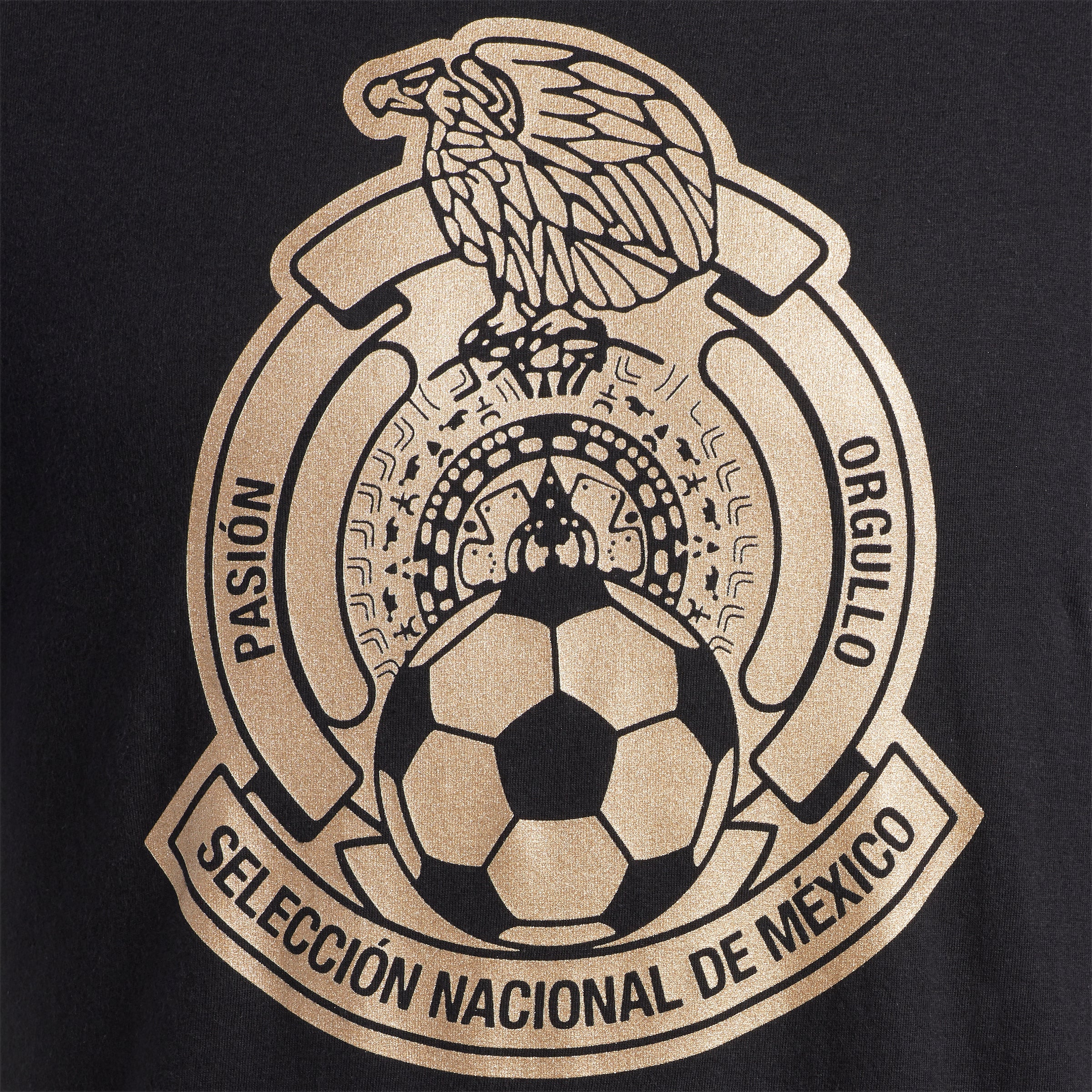 Mexico Amplifier SS T-Shirt - Black