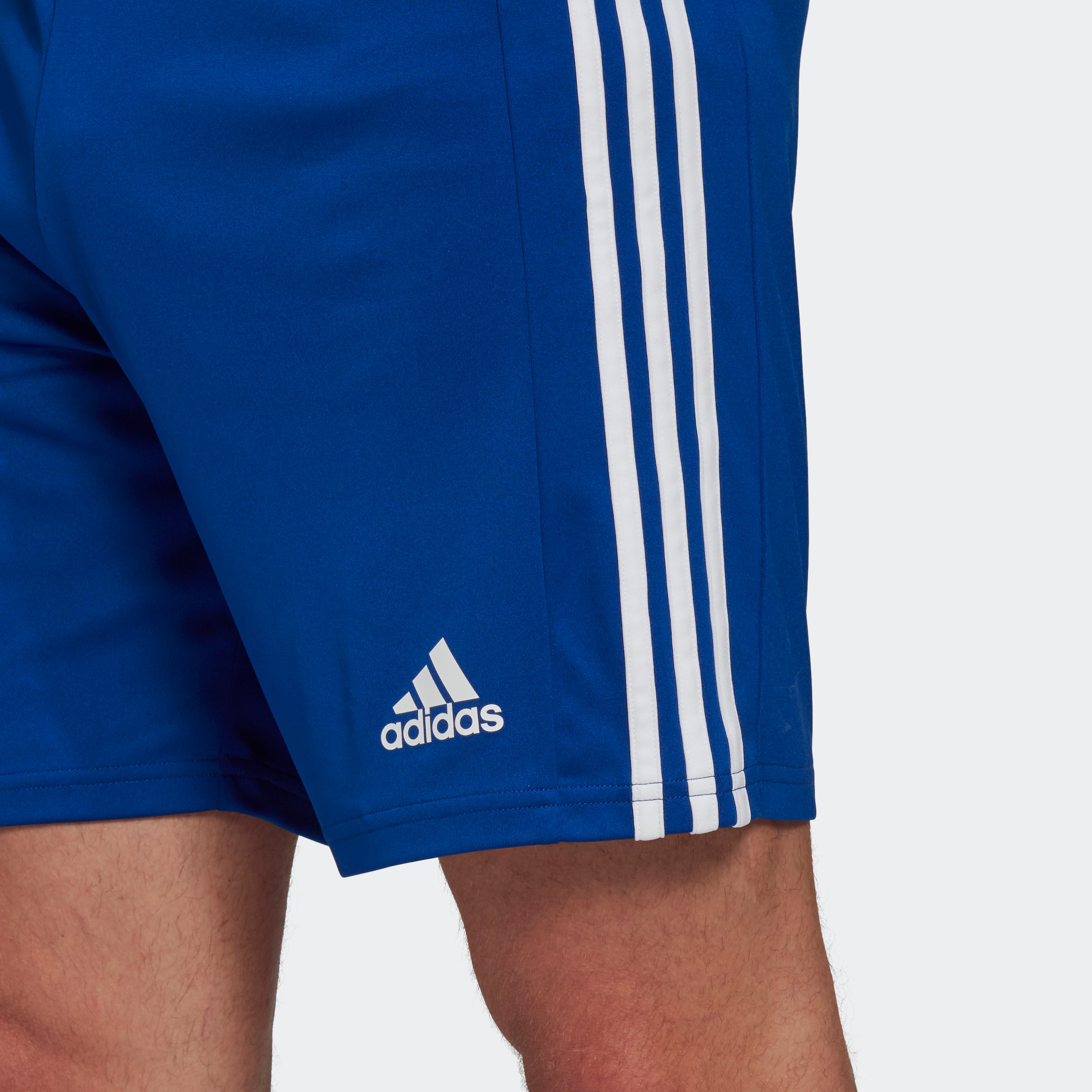 Squadra 21 Shorts Royal Blue White