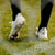 X Ghosted.1 Firm Ground Soccer Shoes Men's - EG8258-ADIDAS by Adidas | Available at Niky's Sports