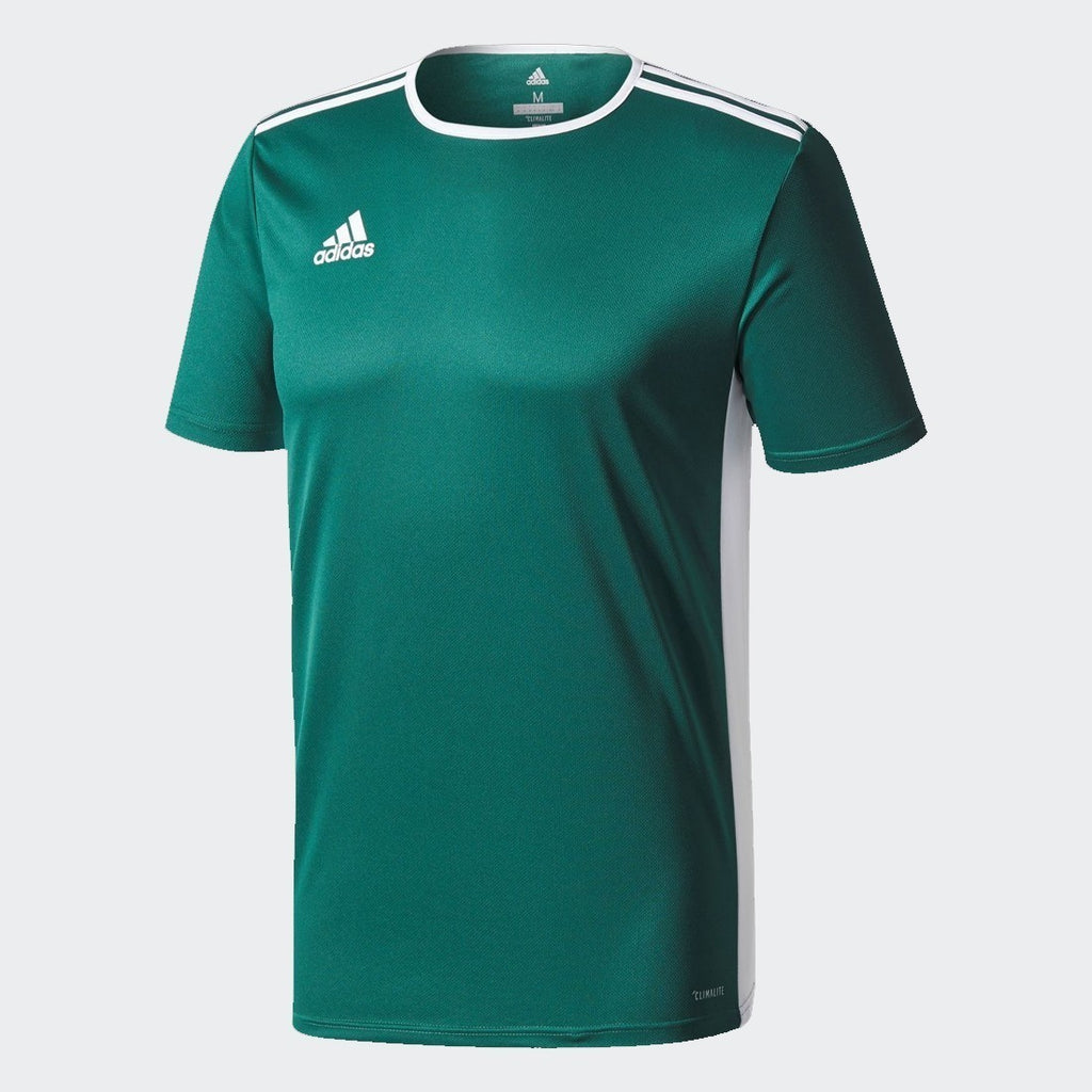 Entrada 18 Jersey - Green/White - CD8358-ADIDAS by Adidas | Available at Niky's Sports