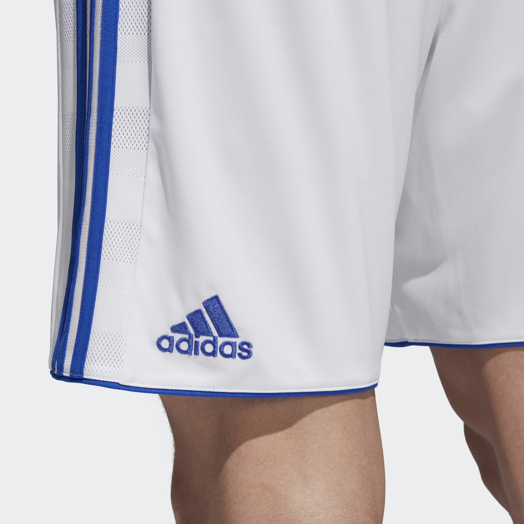 Tastigo 15 Shorts - White/Bold Blue