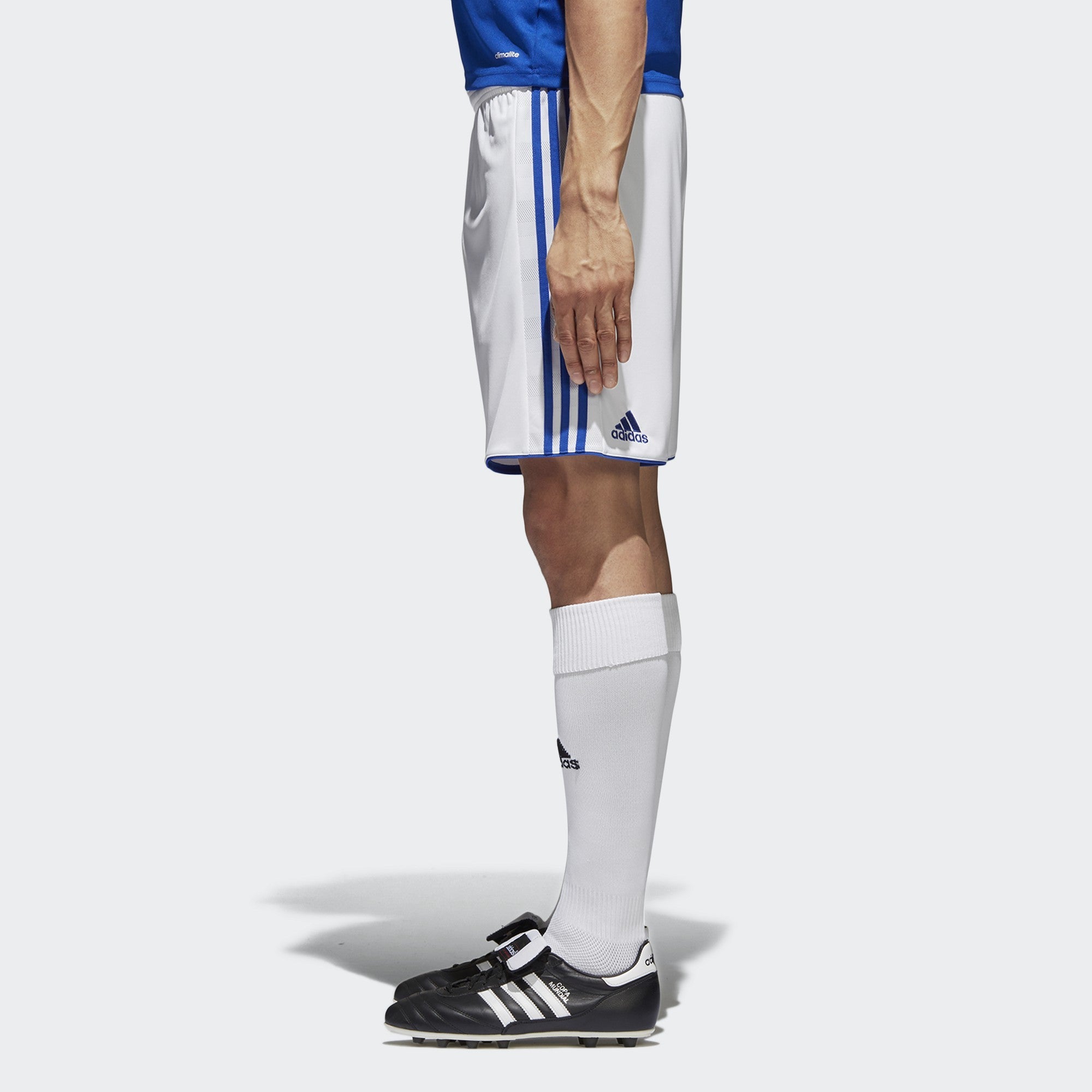 Tastigo 15 Shorts - White/Bold Blue - BJ9126-ADIDAS by Adidas | Available at Niky's Sports