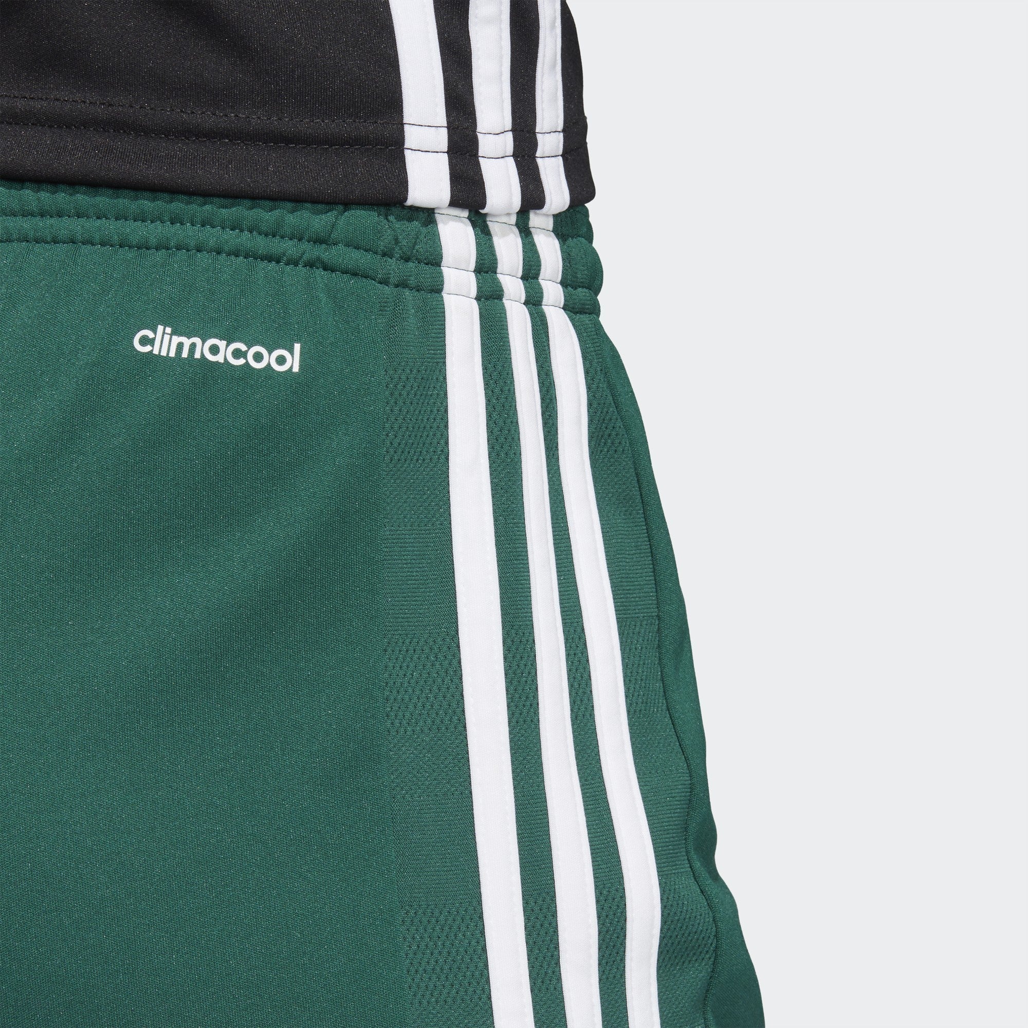 Women's Tastigo 17 Shorts - Collegiate Green/White - BS4271-ADIDAS by Adidas | Available at Niky's Sports