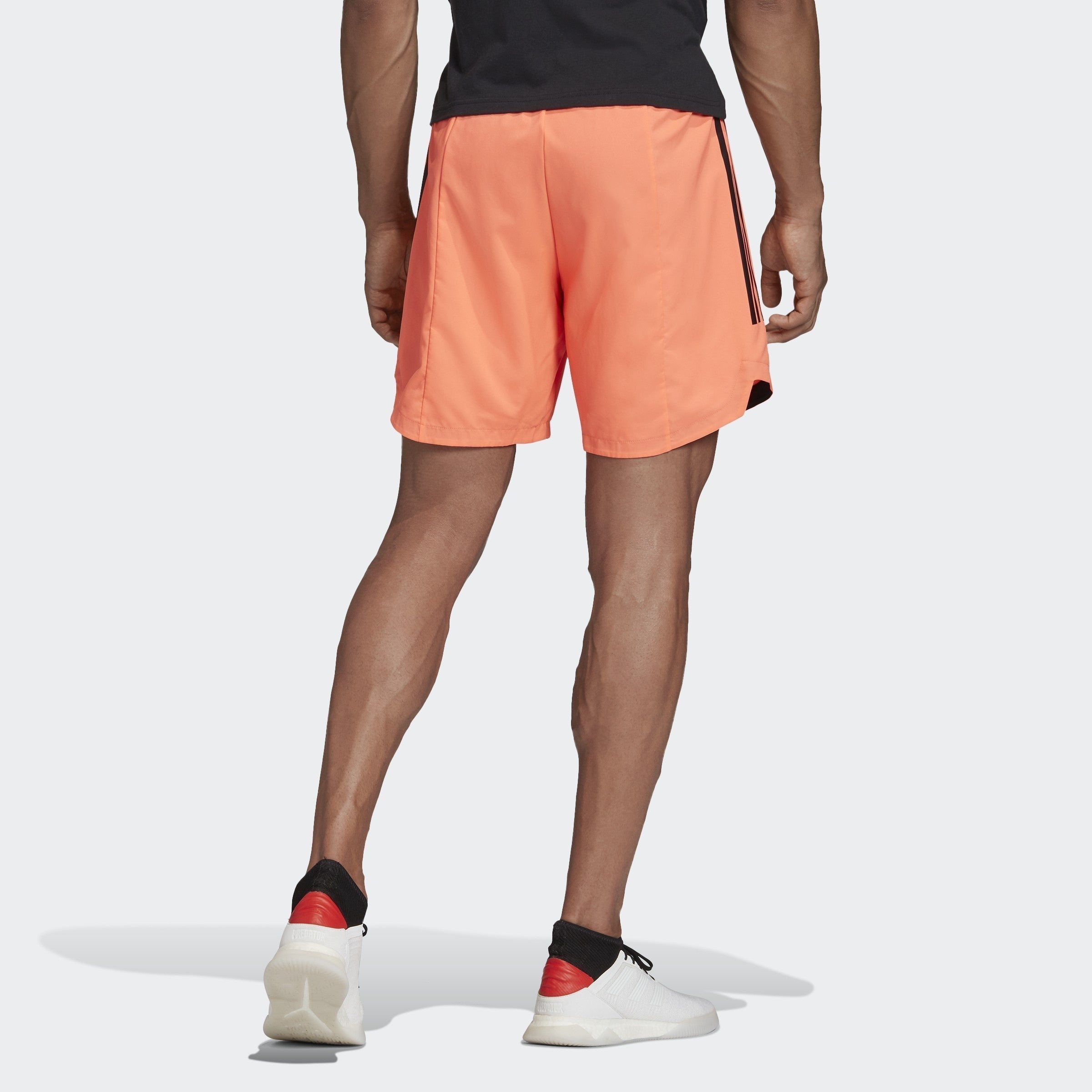 Condivo 20 Shorts - FI4574-ADIDAS by Adidas | Available at Niky's Sports