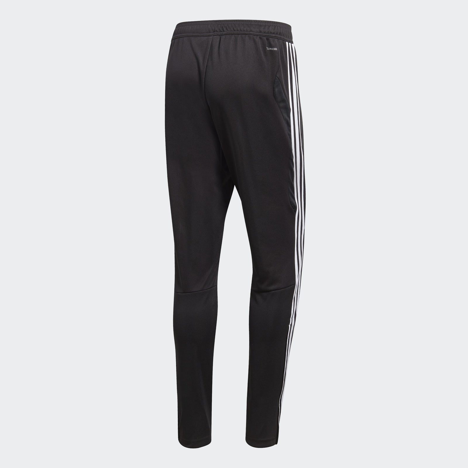 Adidas youth tiro 19 training pants deals