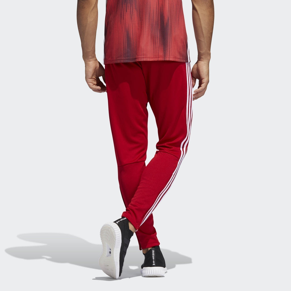 Men's Tiro 19 Training Pants - Red/White