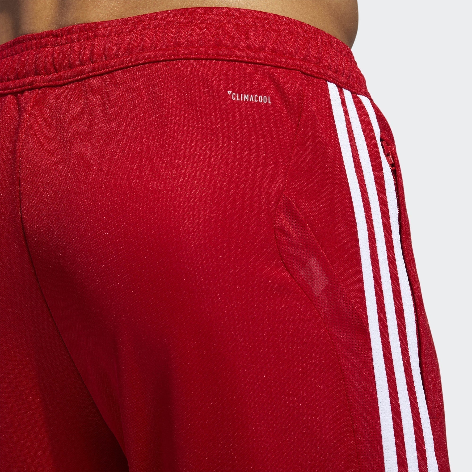 Men's Tiro 19 Training Pants - Red/White