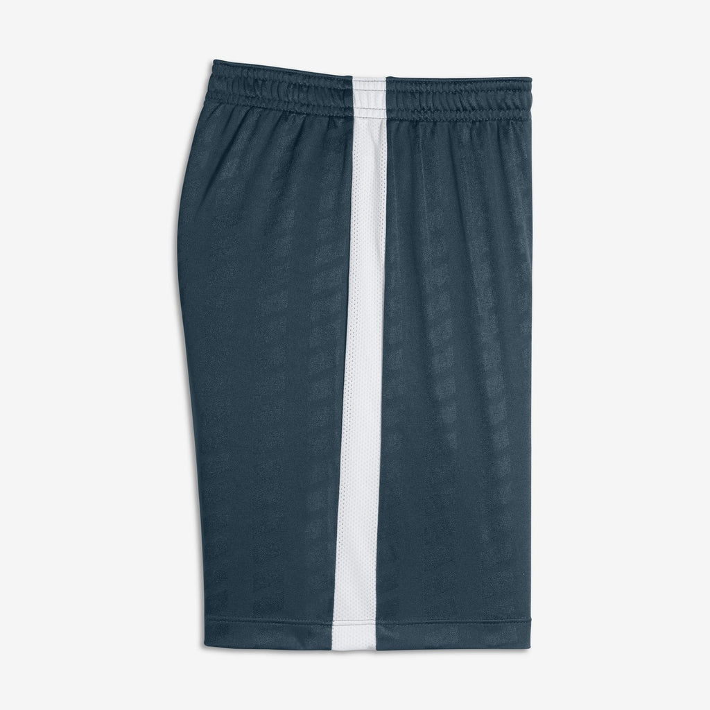 Youth Academy Dry Squad Short