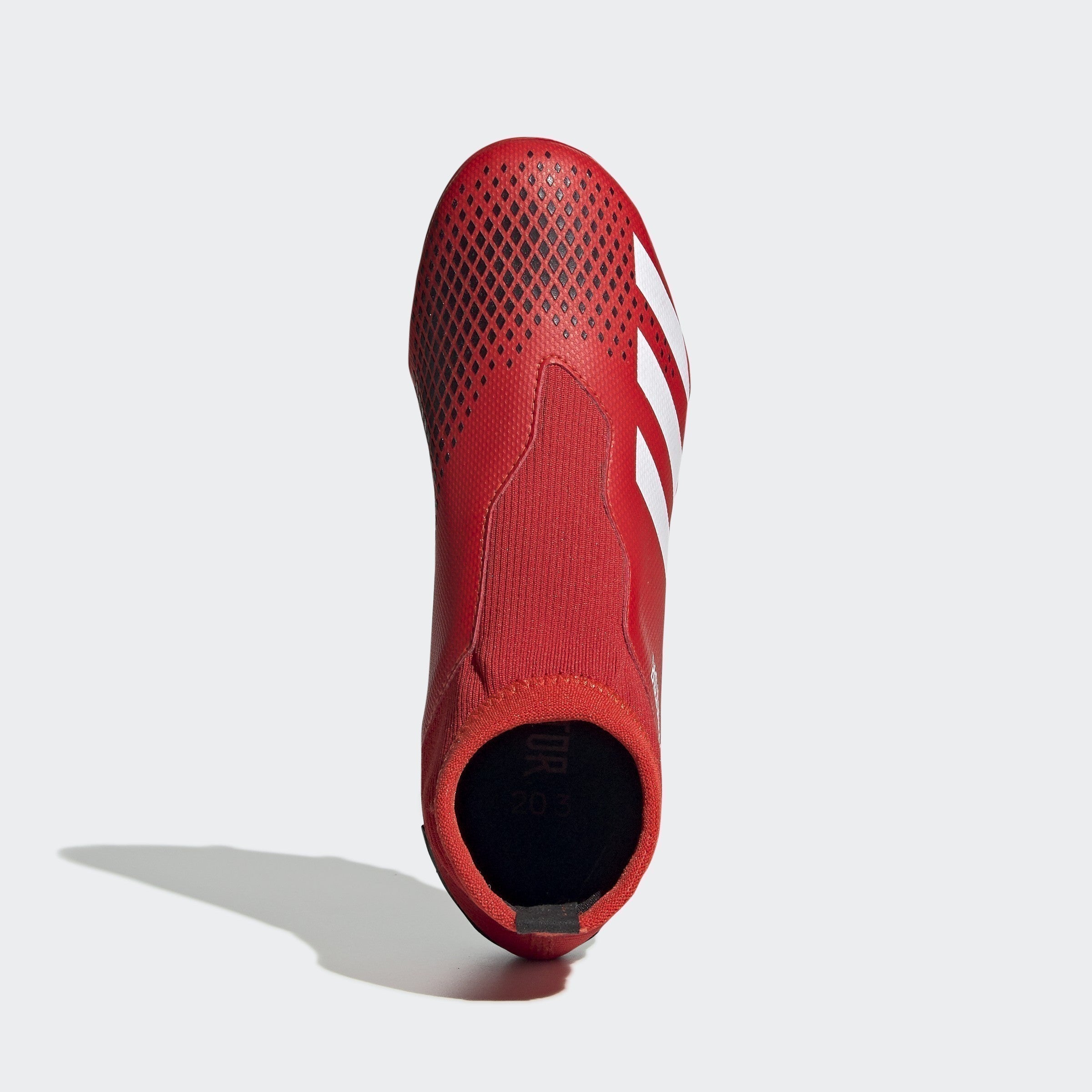 Predator deals 20.3 ll