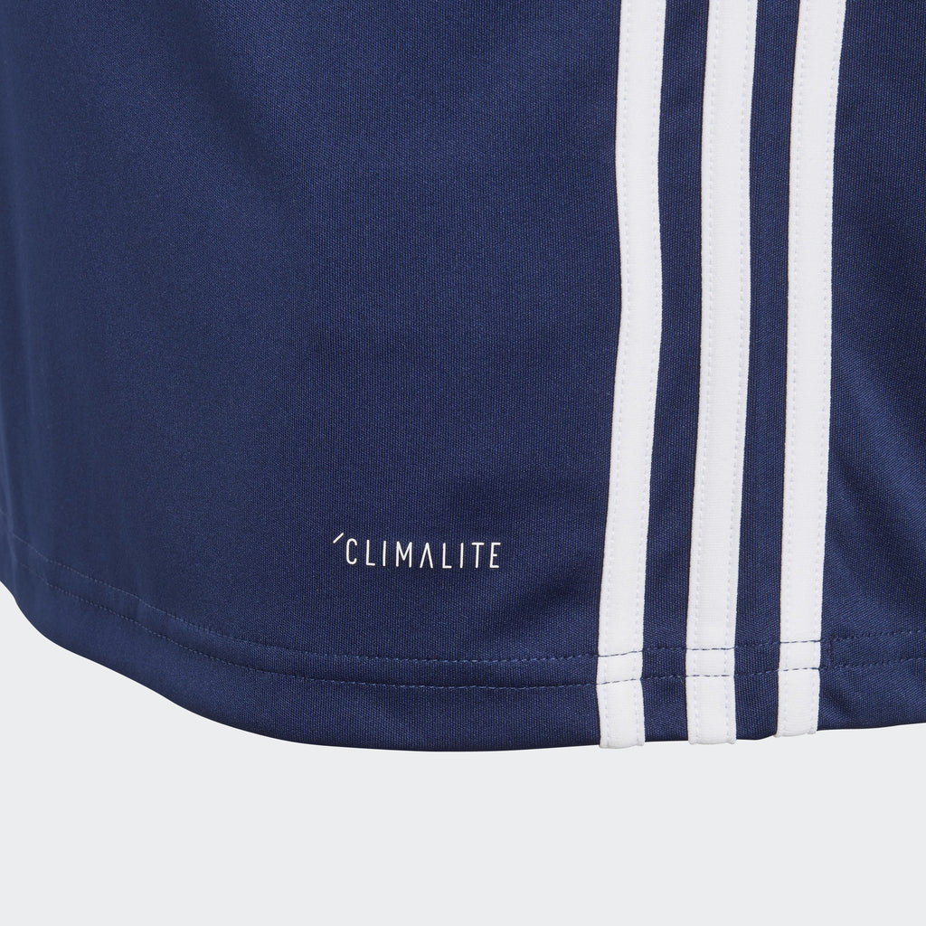 Youth Regista 18 Jersey-Dark Blue / White