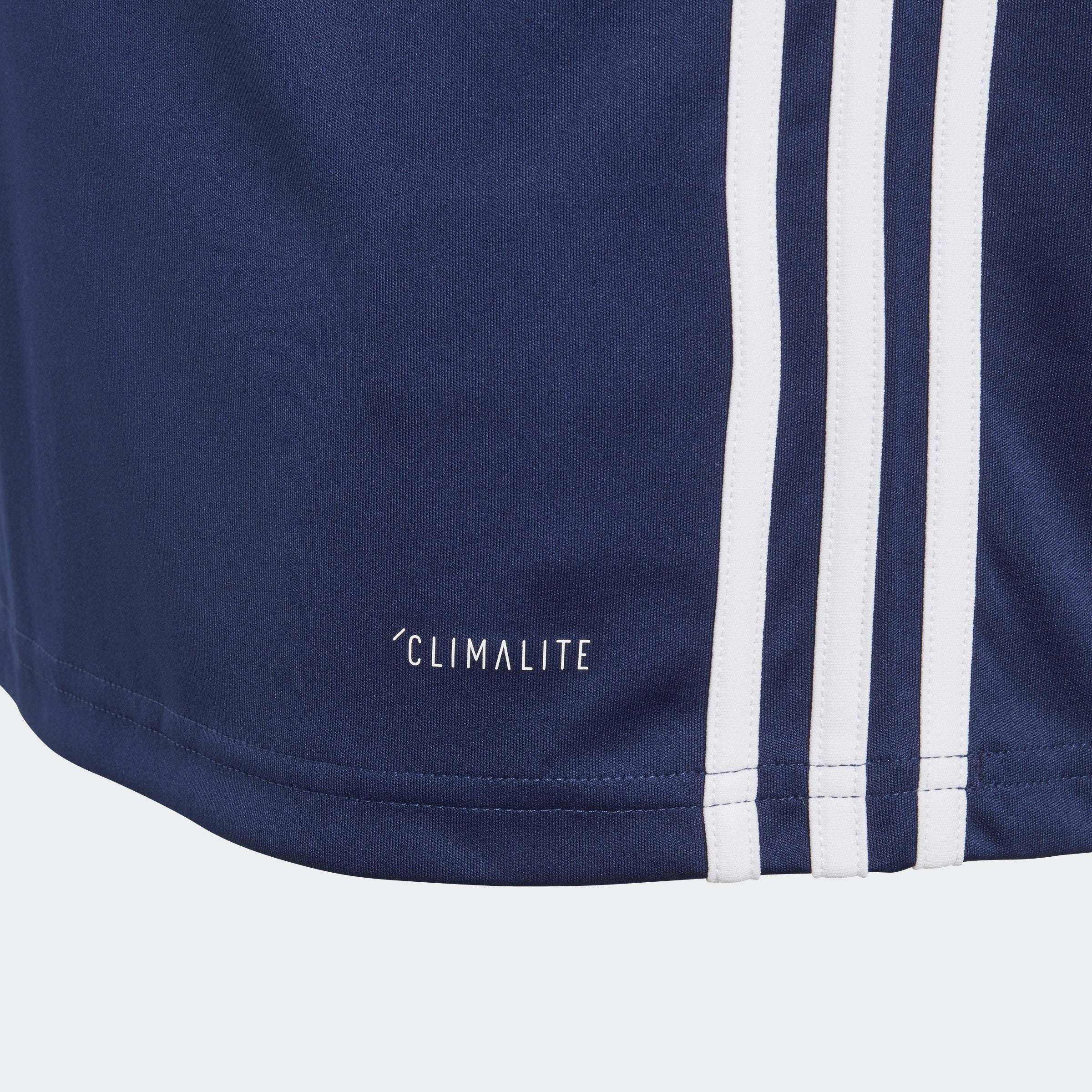 Youth Regista 18 Jersey-Dark Blue / White