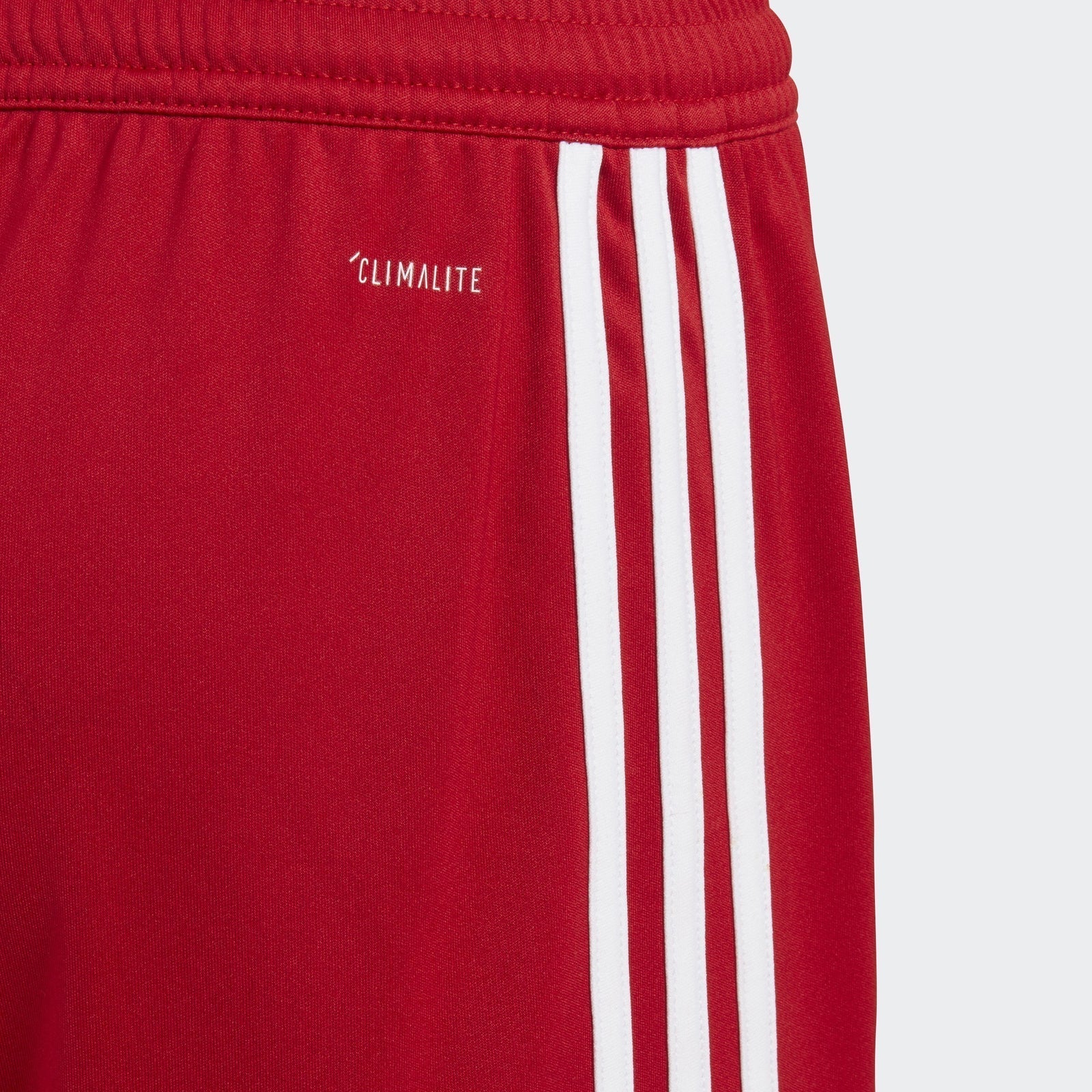 Youth Regista 18 Short- Red/ White