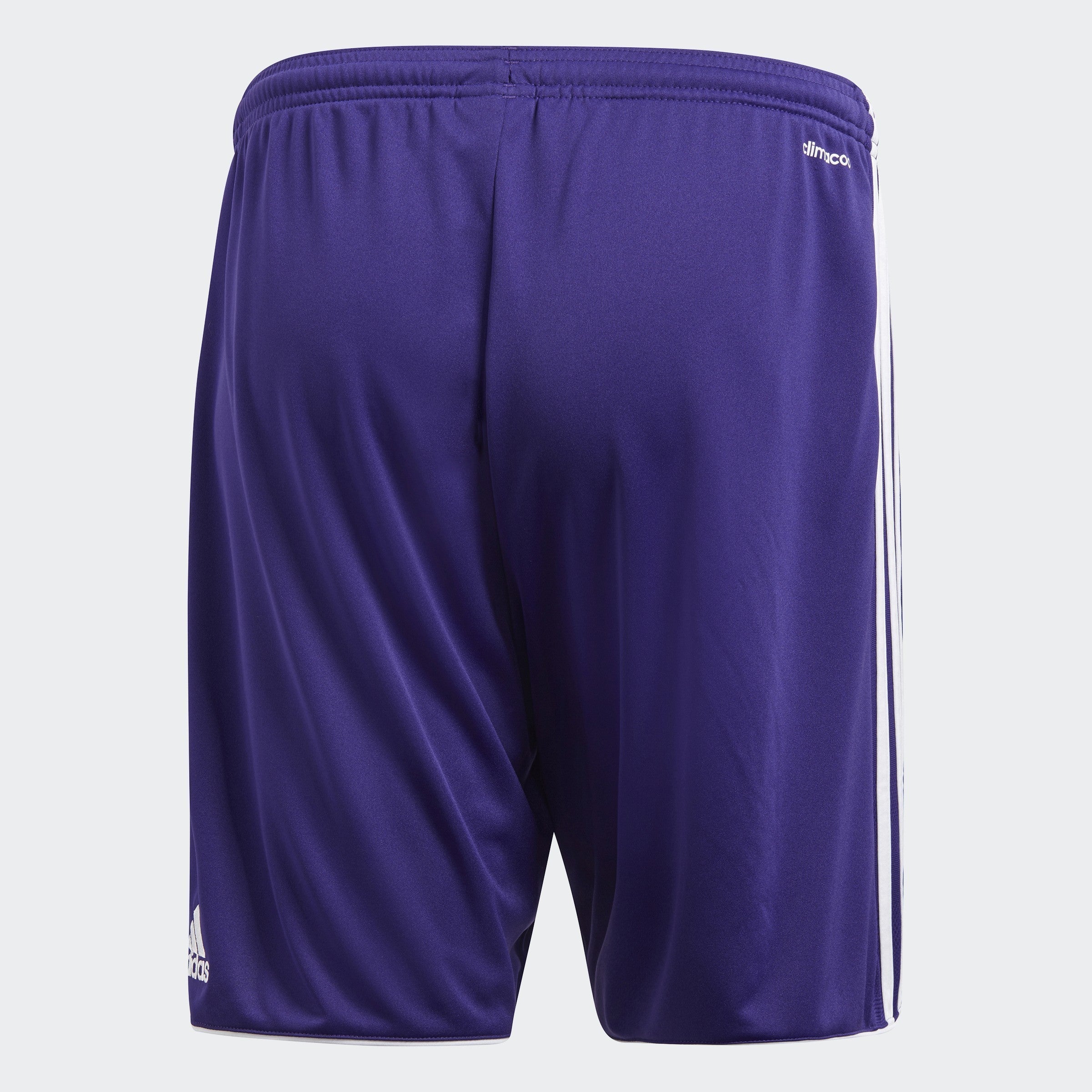 Tastigo 17 Shorts-Purple