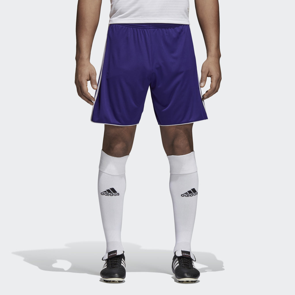 Tastigo 17 Shorts-Purple