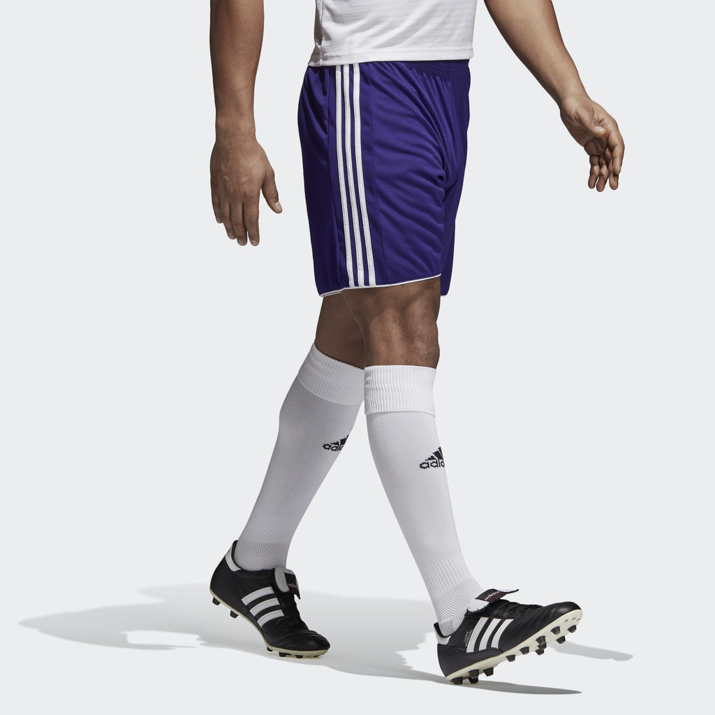 Tastigo 17 Shorts-Purple