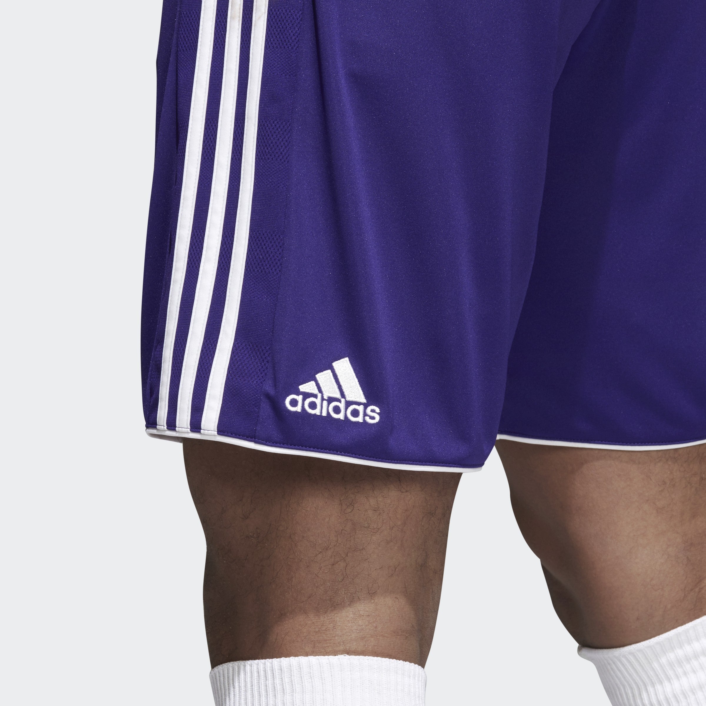 Tastigo 17 Shorts-Purple