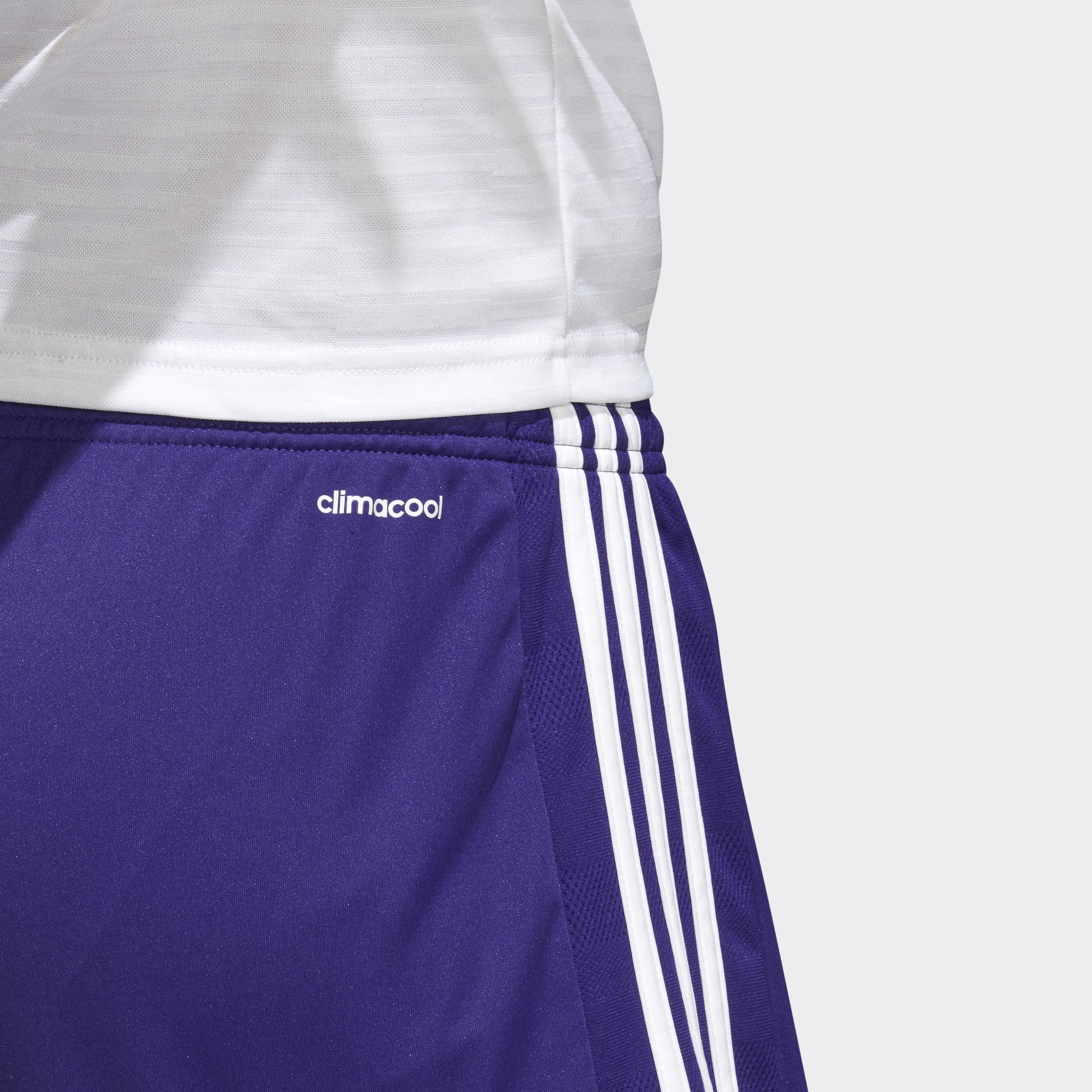 Tastigo 17 Shorts-Purple
