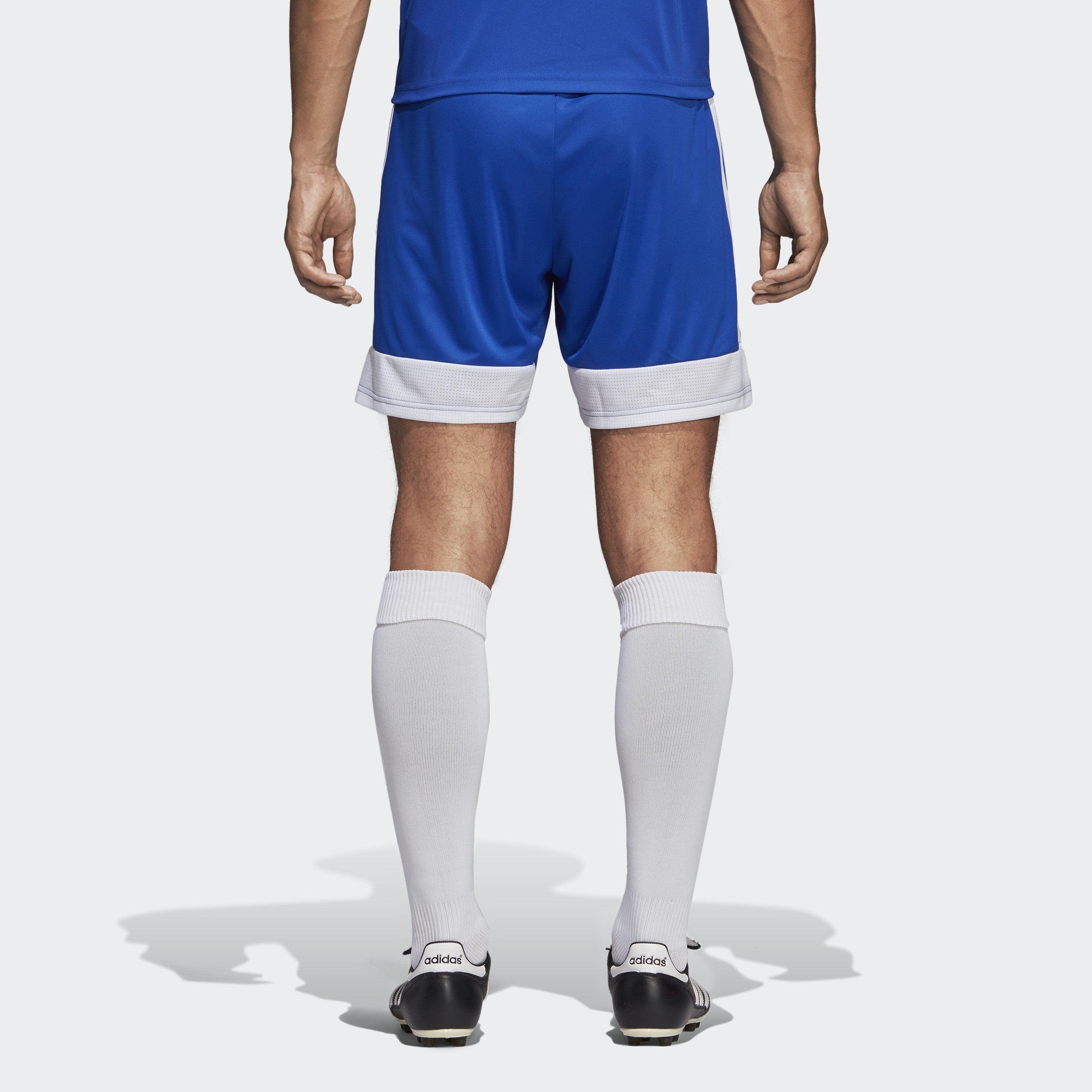adidas Men's Tastigo 19 Shorts - Blue/White