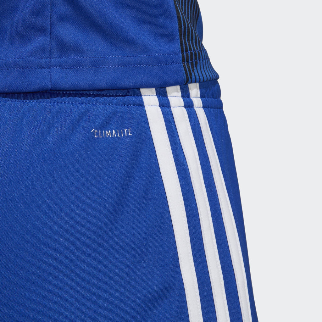 adidas Men's Tastigo 19 Shorts - Blue/White - DP3682-ADIDAS by Adidas | Available at Niky's Sports