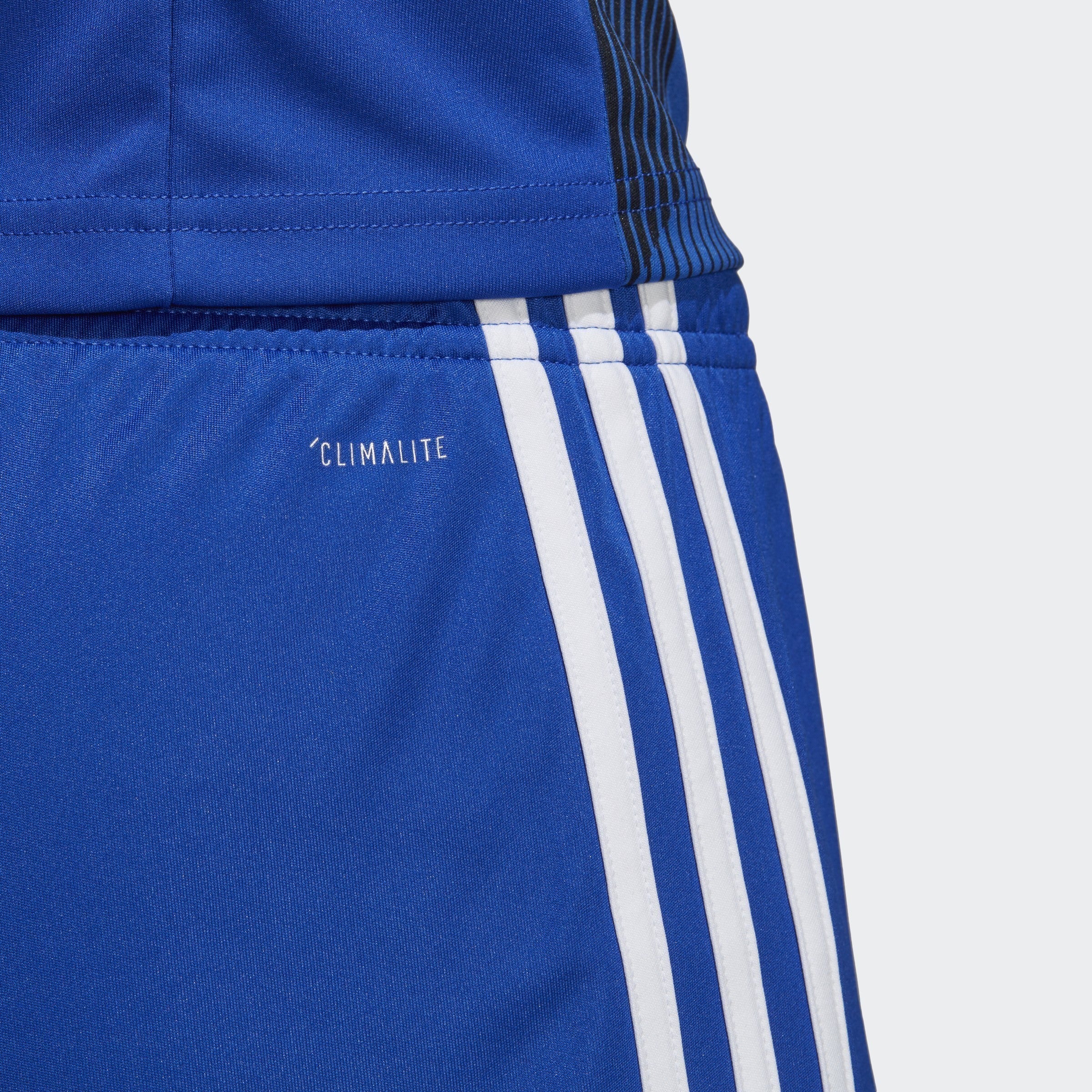 adidas Men's Tastigo 19 Shorts - Blue/White - DP3682-ADIDAS by Adidas | Available at Niky's Sports
