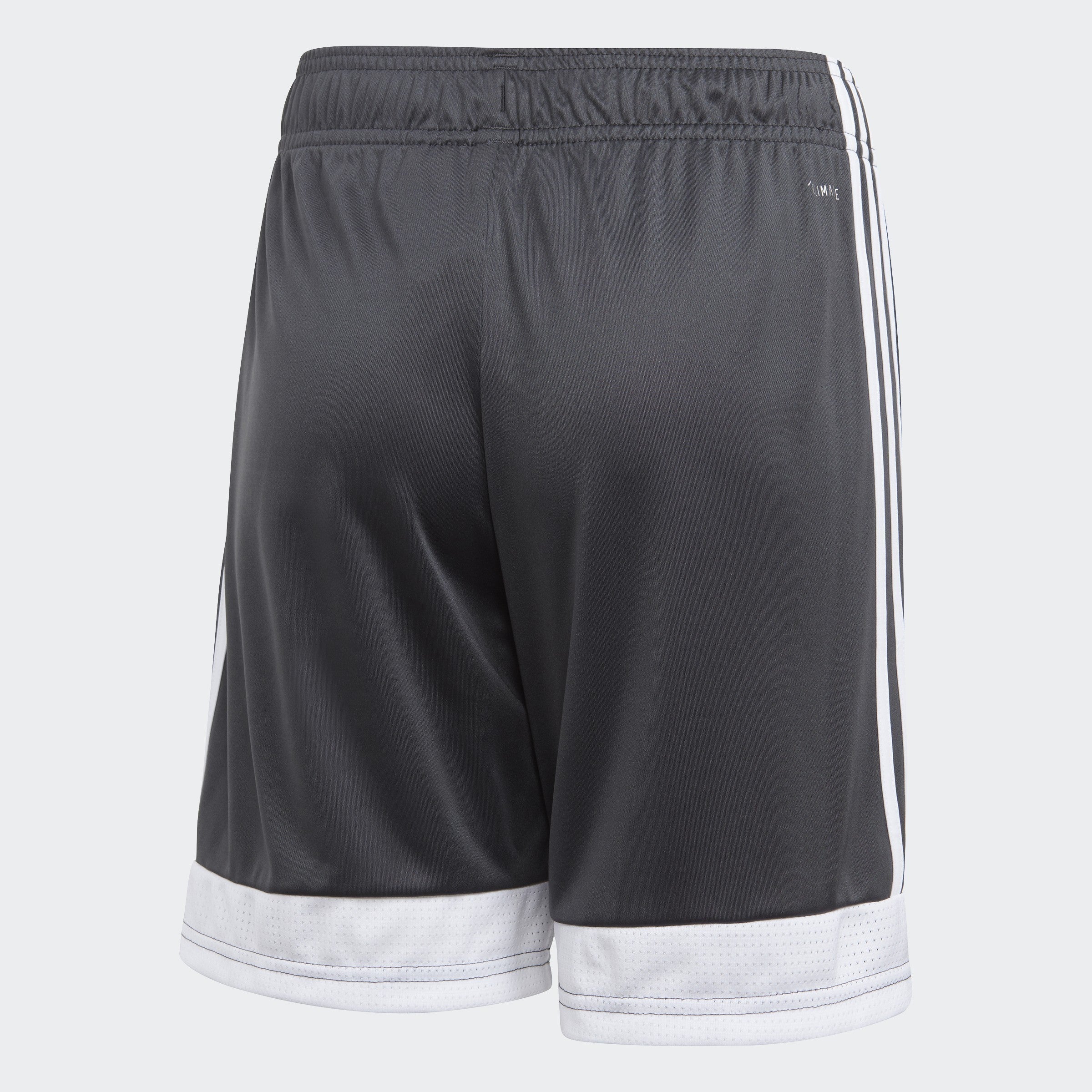 Youth Tastigo 19 Shorts