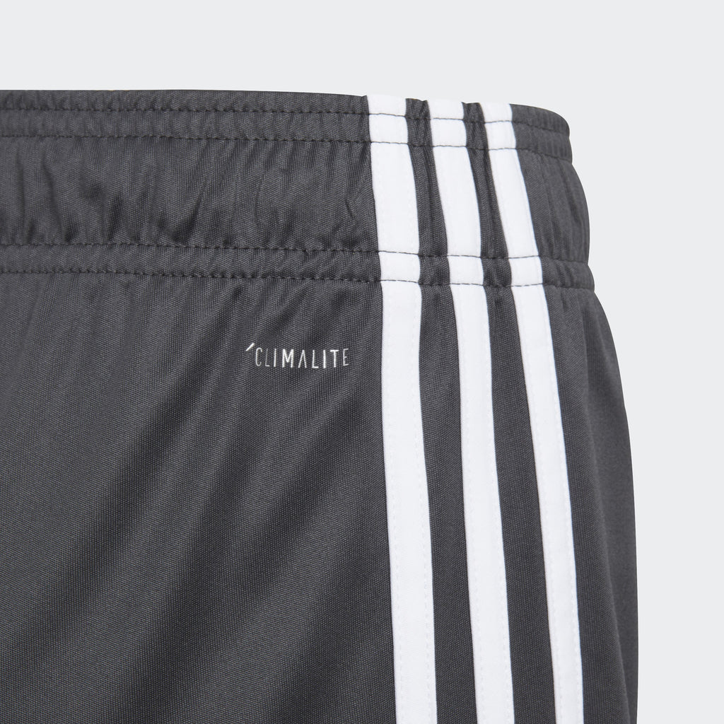 Youth Tastigo 19 Shorts