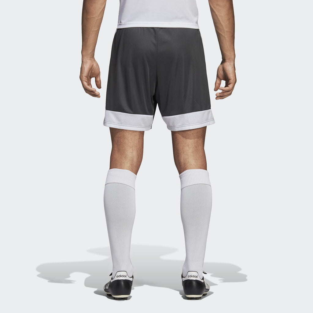 Tastigo 19 Shorts - Solid Grey / White