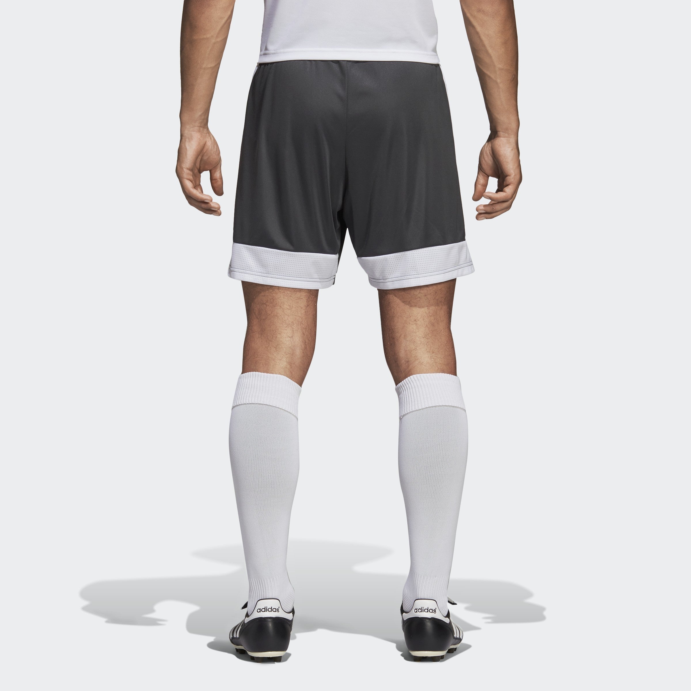 Tastigo 19 Shorts - Solid Grey / White