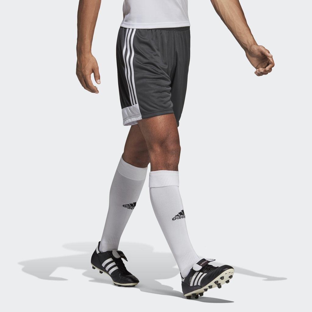 Tastigo 19 Shorts - Solid Grey / White