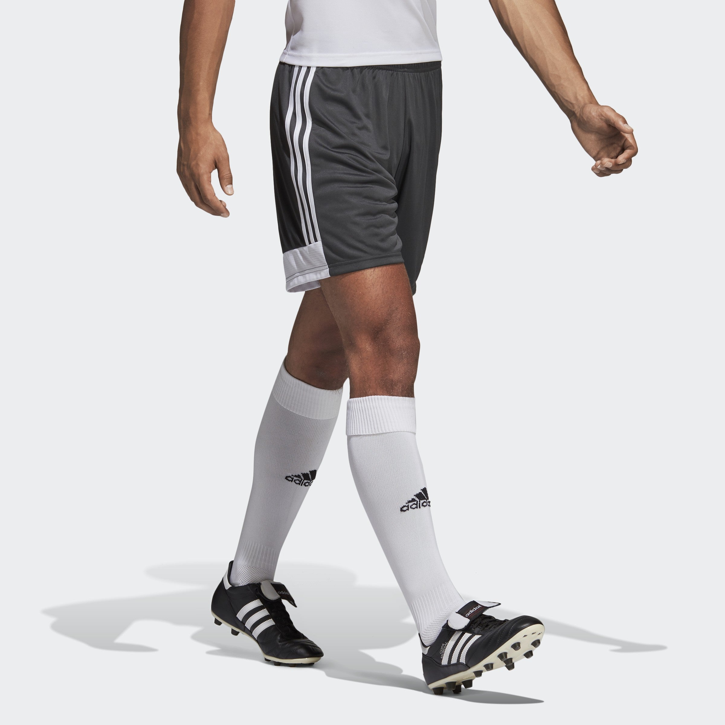 Tastigo 19 Shorts - Solid Grey / White