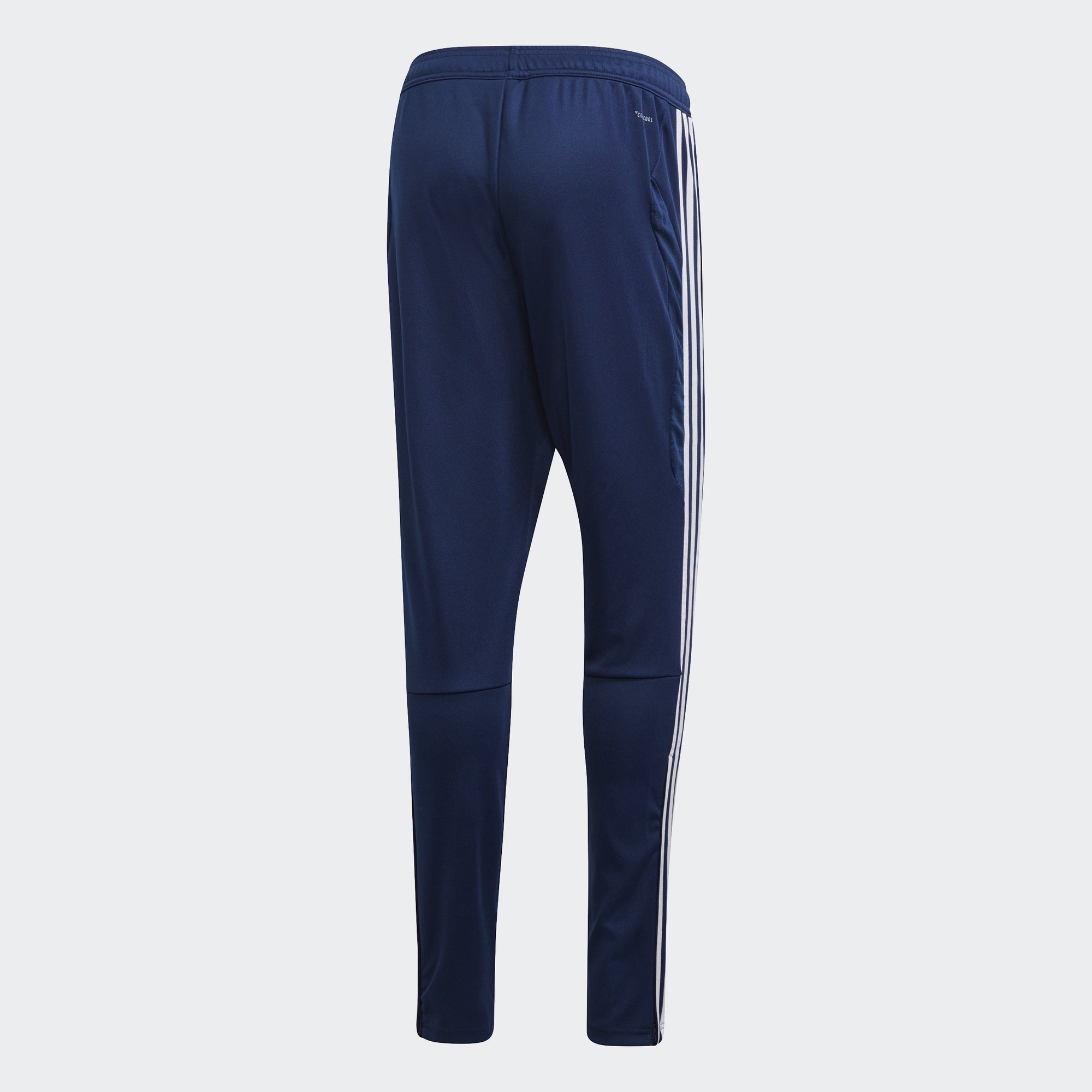 Tiro 19 Training Pants - Blue/White