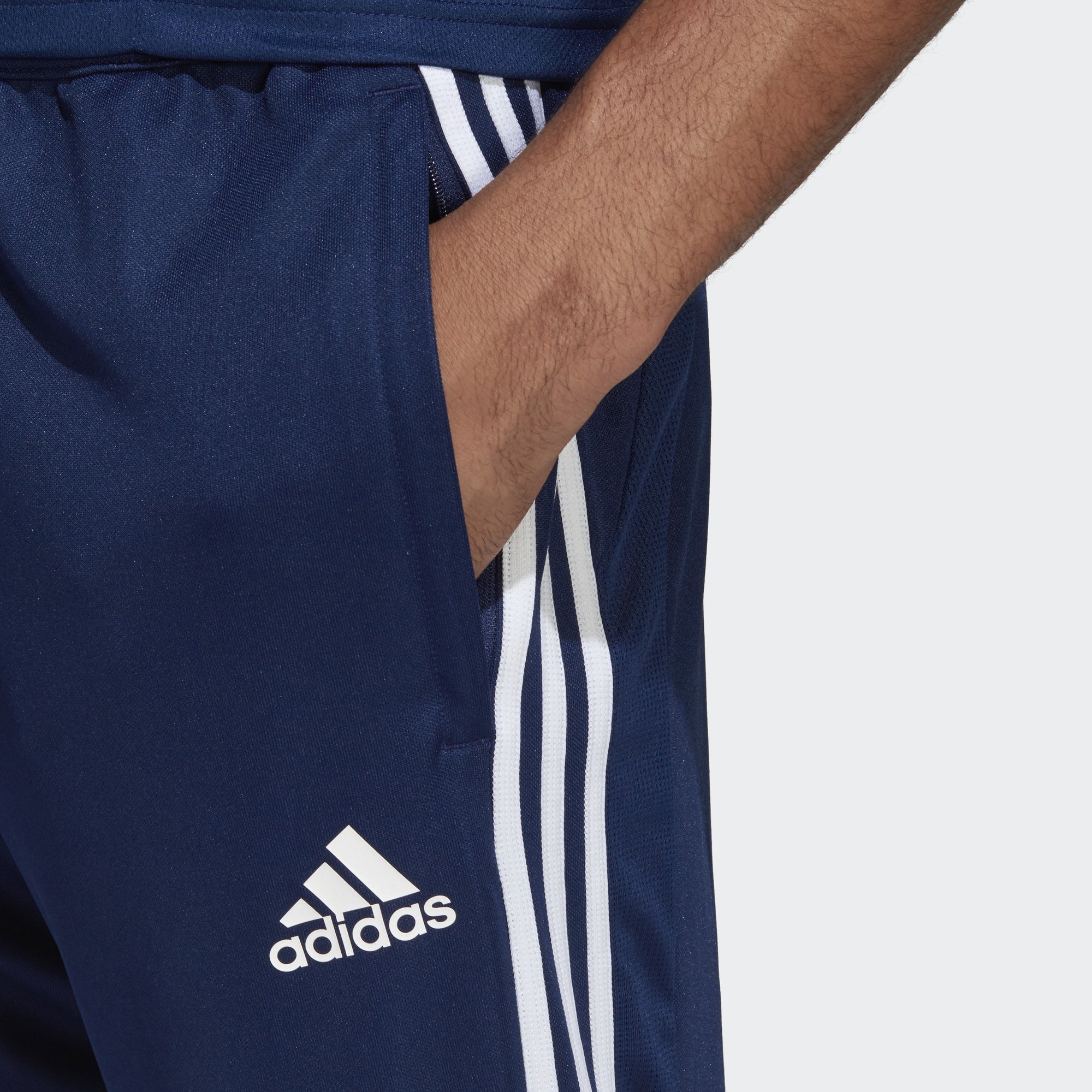 Tiro 19 Training Pants - Blue/White