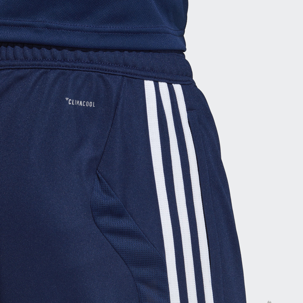 Tiro 19 Training Pants - Blue/White