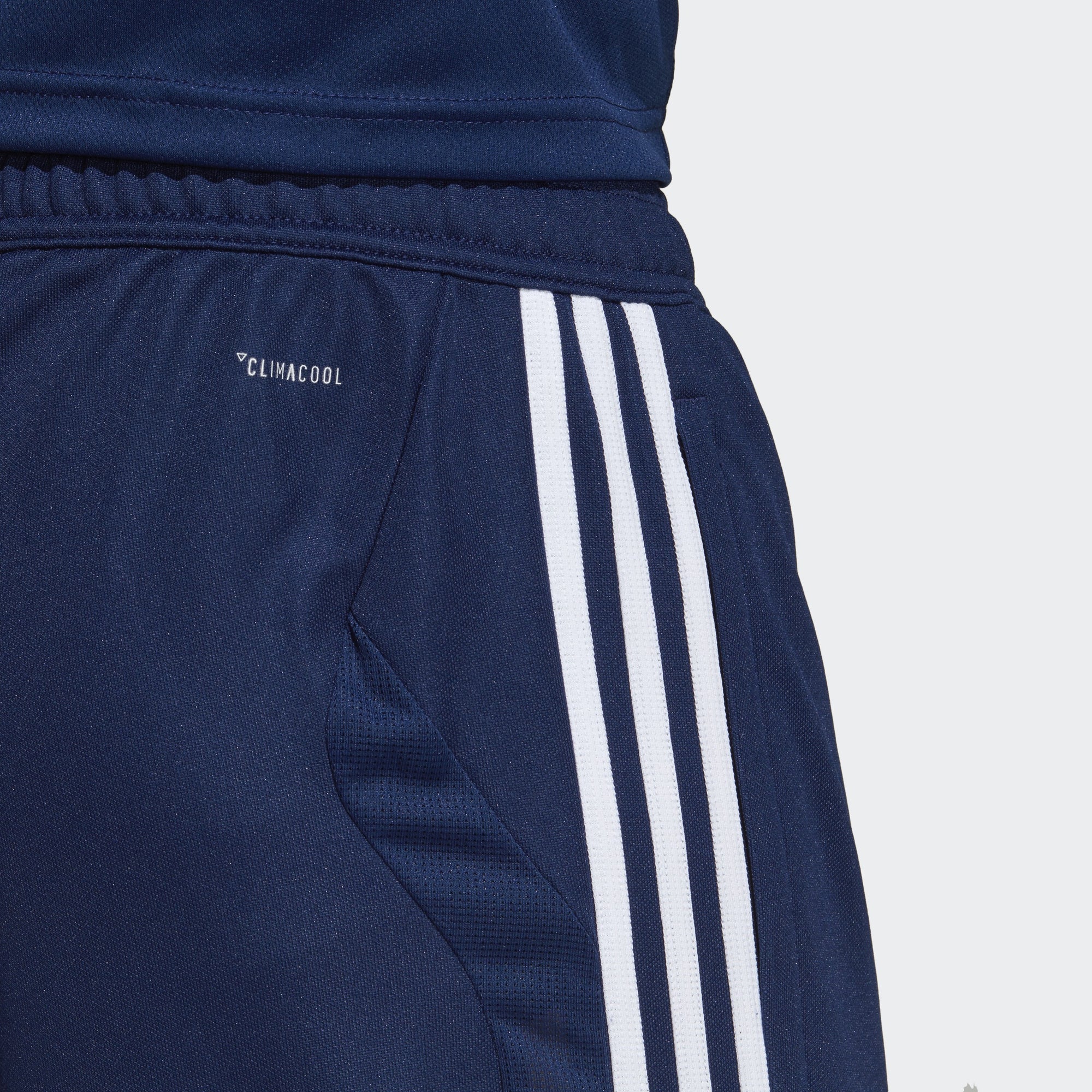 Tiro 19 Training Pants - Blue/White