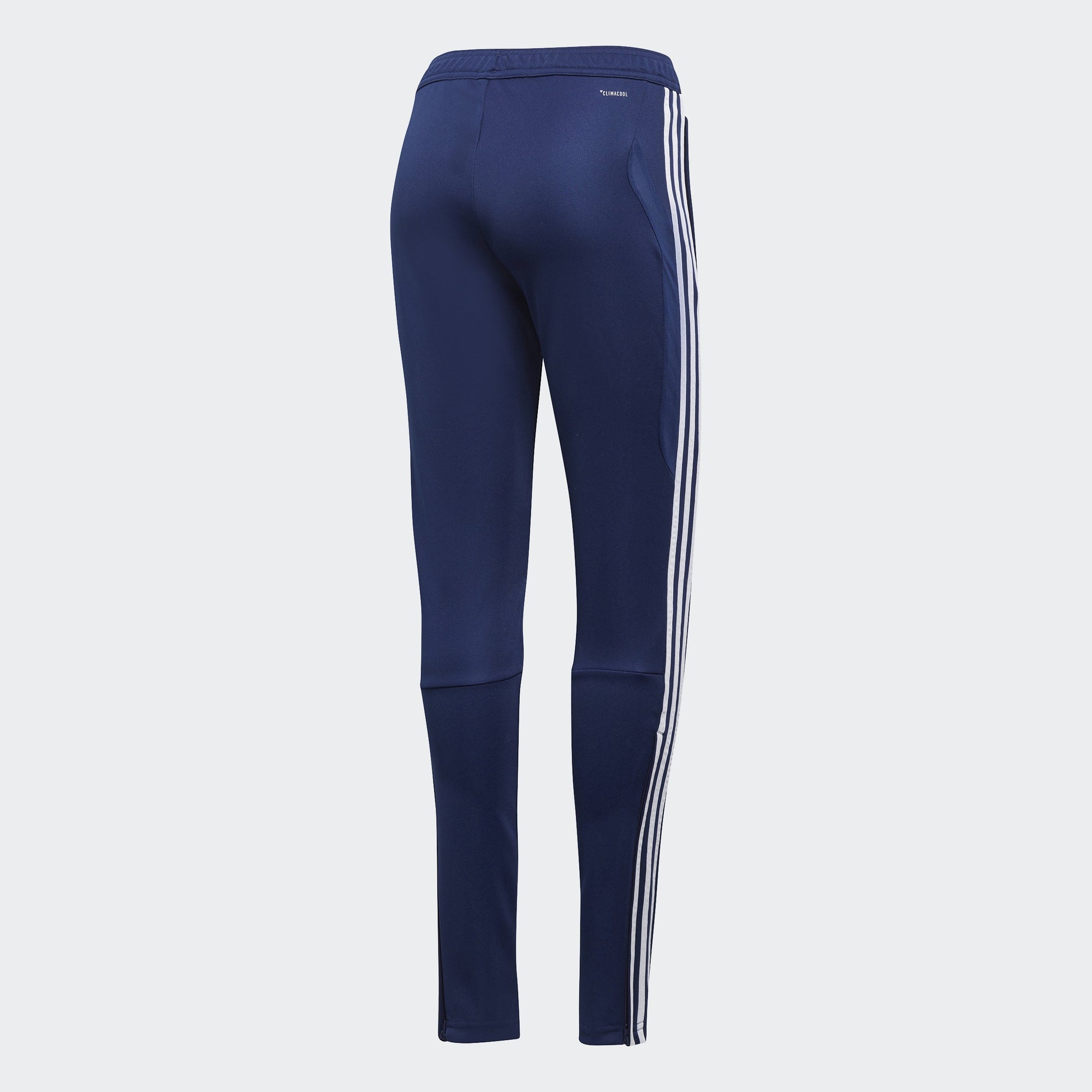 Women's Tiro 19 Training Pants - Blue/White