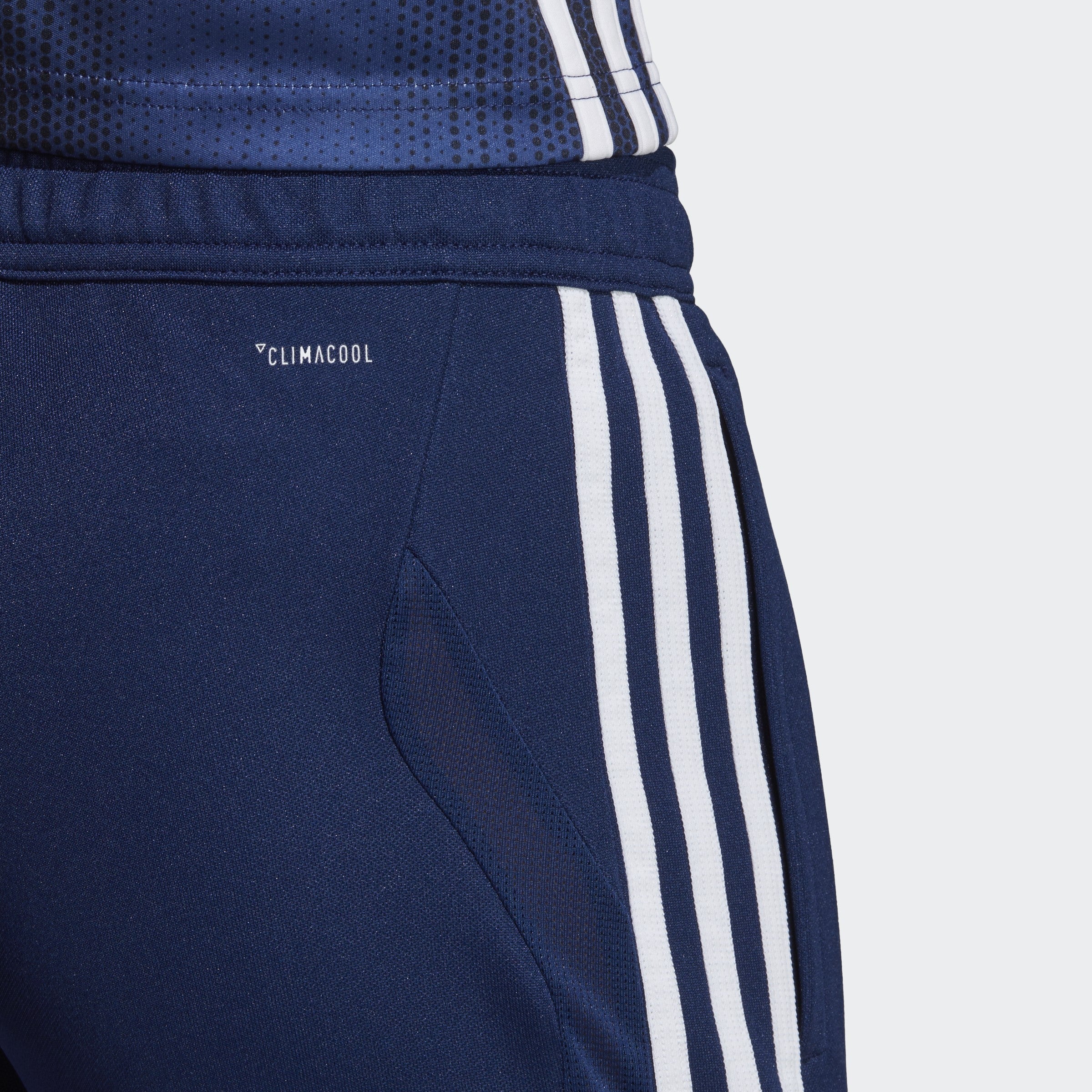 Women's Tiro 19 Training Pants - Blue/White - DT5984-ADIDAS by Adidas | Available at Niky's Sports